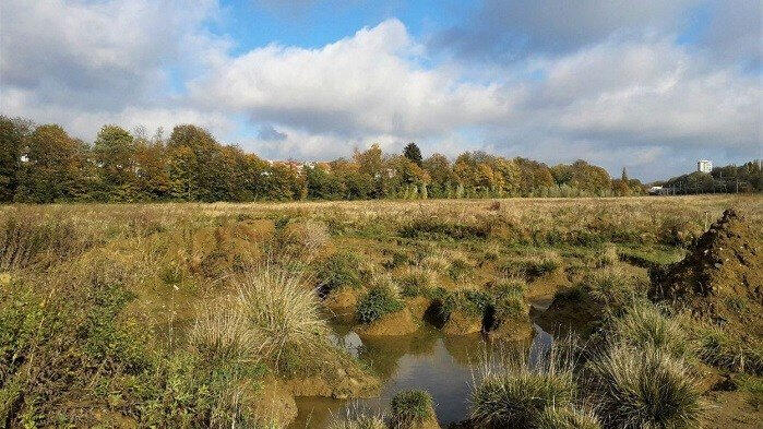 Article Name Belgium&#39;s most biodiverse nature reserve under threat Outlet Brussels Times Role Writer