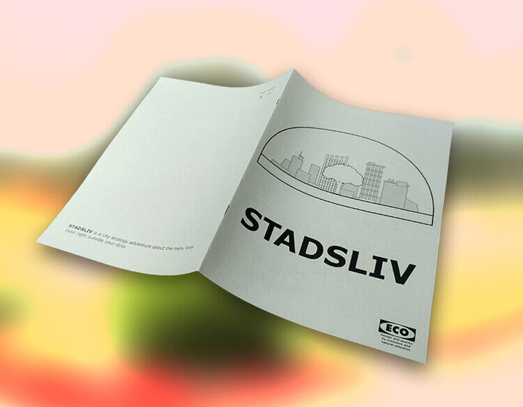 Zine Name STADSLIV — a city ecology adventure Outlet Personal project Role Creator