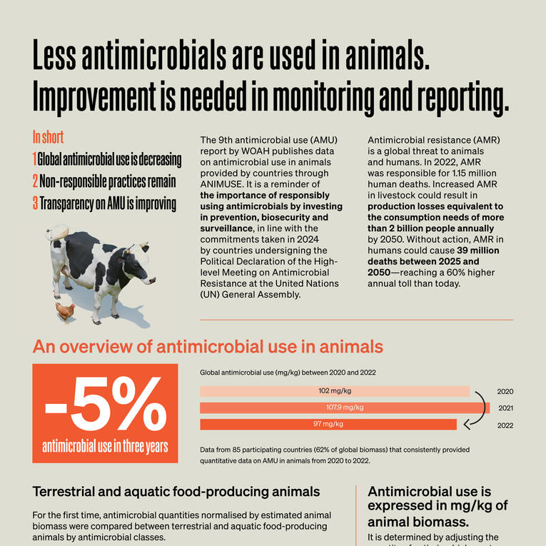Factsheet Name Antimicrobial use in animals Client World Organisation for Animal Health (WOAH) Role Graphic and 3D designer