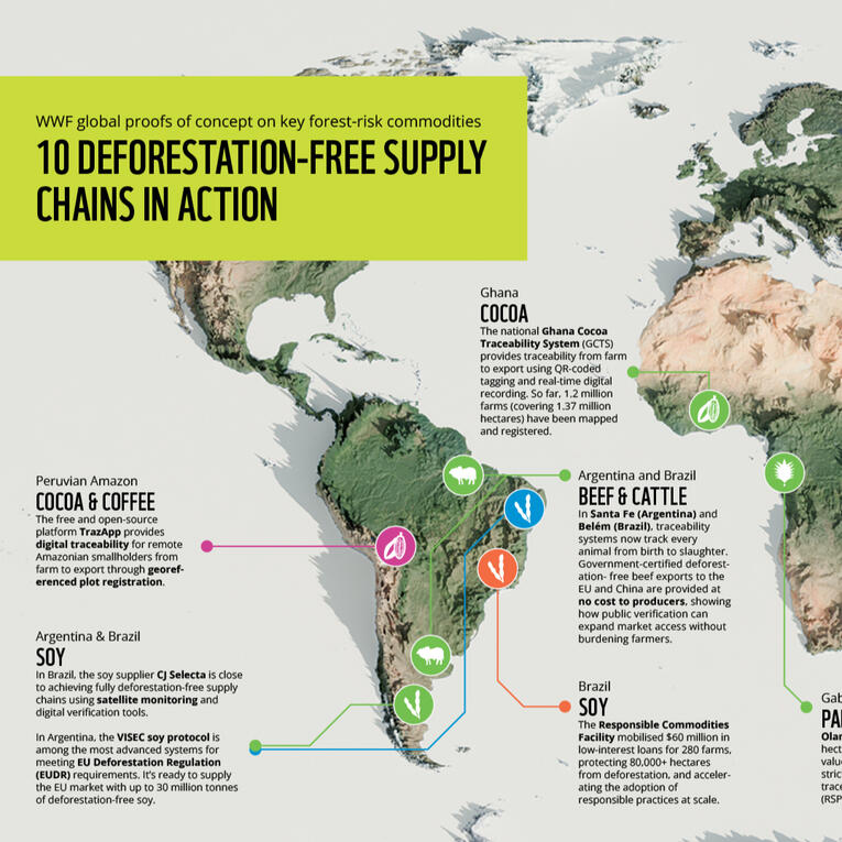 Map Name Ten deforestation-free supply chains in action Client WWF Role Cartographer